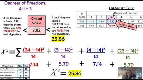 chi square test genetics example